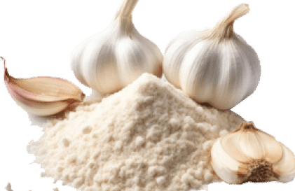 Garlic Powder in Ernakulam