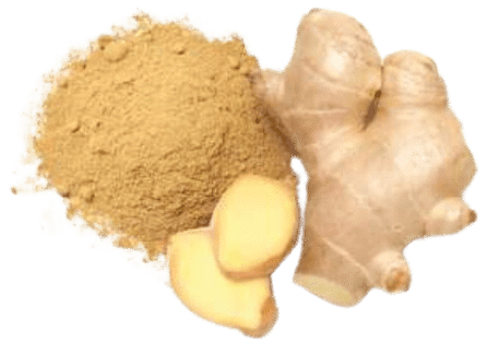 Ginger Powder in Ernakulam