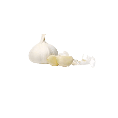 Garlic Powder in Ernakulam