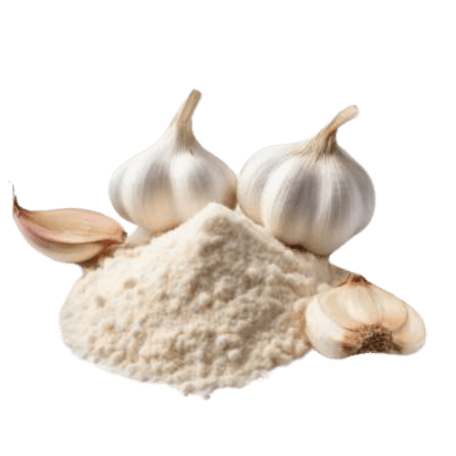 Garlic Powder in Ernakulam