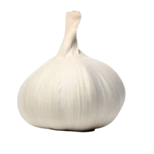 Garlic Powder in Ernakulam