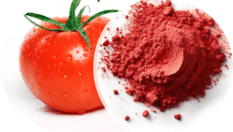 Tomato Powder In Ernakulam