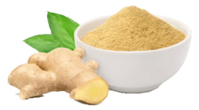 Ginger Powder in Ernakulam
