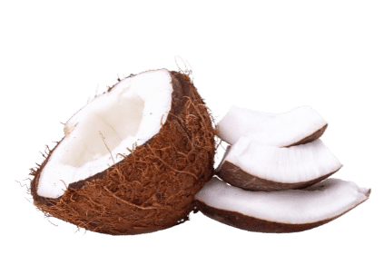 Dessicated coconut for sale in Ernakulam
