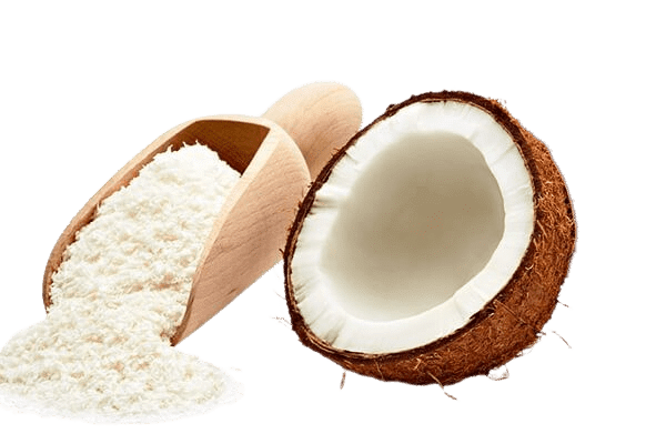 Dessicated coconut for sale in Ernakulam