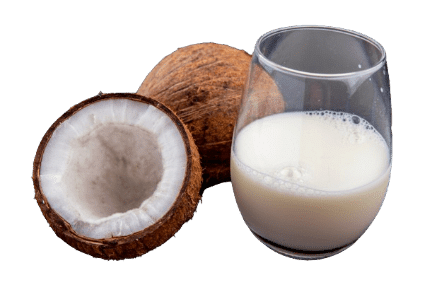 Coconut milk powder for sale in Ernakulam