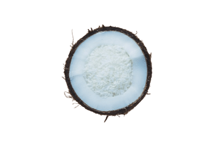 Dessicated coconut for sale in Ernakulam
