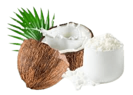 Roasted Coconut for sale in Ernakulam